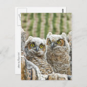 Wie is daar? Paar Uil's Briefkaart (Voorkant / Achterkant)