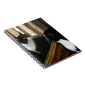 Wie is die knappe vent? notitieboek (Rechterzijde)