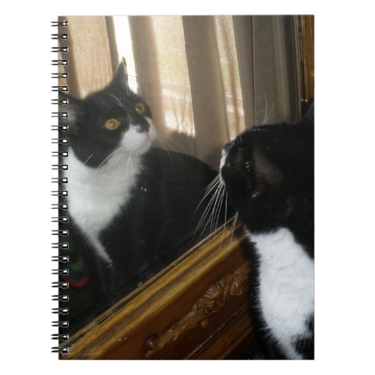 Wie is die knappe vent? notitieboek (Voorkant)