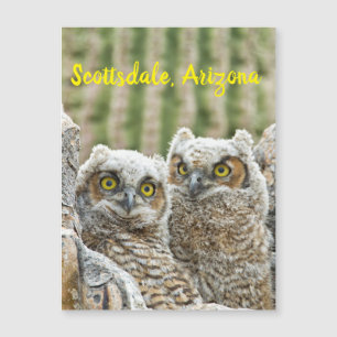 Wie is er daar? Paar van de Scottsdale van Owl, Ar