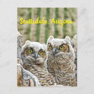Wie is er daar? Paar van de Scottsdale van Owl, Ar Briefkaart
