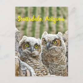 Wie is er daar? Paar van de Scottsdale van Owl, Ar Briefkaart