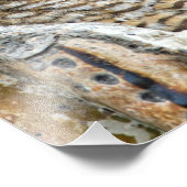 Wie is er, Pair of Owl's Foto Afdruk (Hoek)