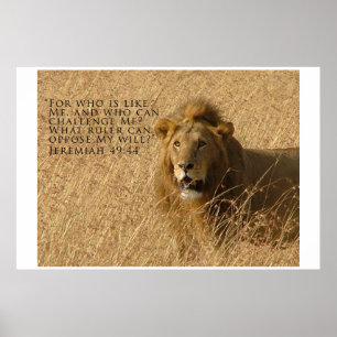 Wie is Groter Poster