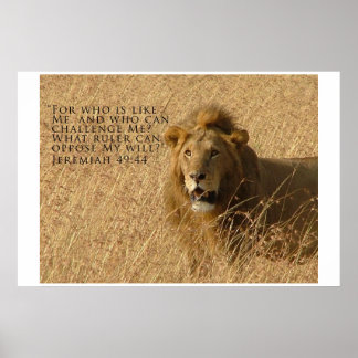 Wie is Groter Poster