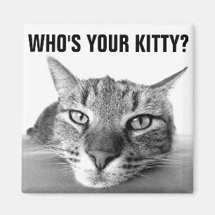 Wie is je kat? Magneten, tablet Magneet