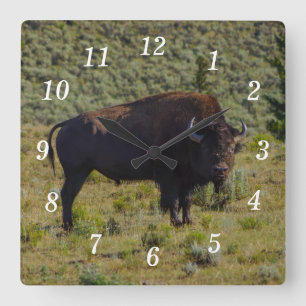 Wie kijk je op Wall Clock? Vierkante Klok