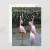 Wie koopt lunch? briefkaart (Voorkant / Achterkant)