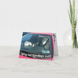 Wie liet de honden eruit? Opmerking Kaart