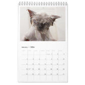 Wie P***ed van mijn kat? Jaarlijkse kalender 2018 (Jan 2026)