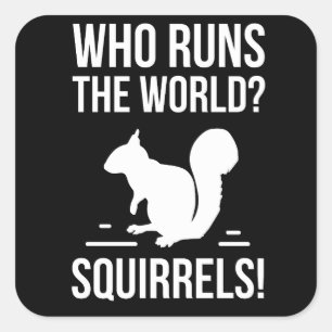 Wie runt de wereld? eekhoorn vierkante sticker
