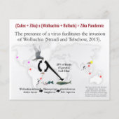 WIE weet dat Culex zika-vectoren is van RoseWrites Flyer (Achterkant)