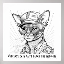 Wie zegt dat katten de meow-n niet kunnen bereiken