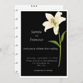 Wieden Kaart (Voorkant / Achterkant)