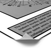 Wiel van de genetische code poster (Hoek)