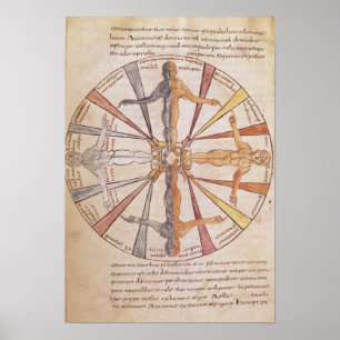 Wiel van de seizoenen en maanden poster