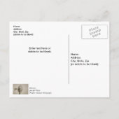 Wiel van een windmolen Sepia Dank je Briefkaart (Achterkant)