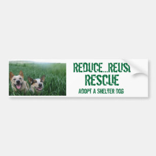 Wielhonden Bumpersticker