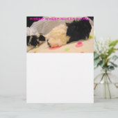 Wielkop (Staand voorkant)