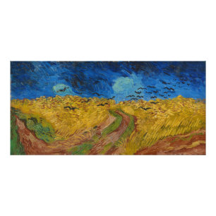 Wielveld met koeien foto afdruk