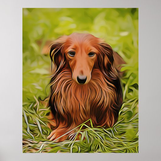 Wiener Brown Dachshund over gras in de tuin Poster (Voorkant)