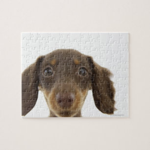 Wiener Dog (bruin) 2 Legpuzzel