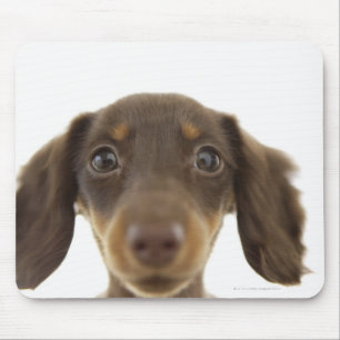 Wiener Dog (bruin) Muismat