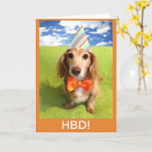 Wiener Dog HBD Kaart (Gele Bloem)