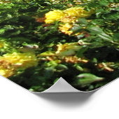 Wiener Volksgarten met Rozen Poster (Hoek)