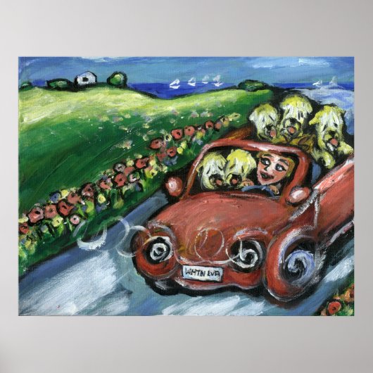 Wieszingende autorijd poster (Voorkant)