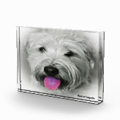 Wiet Terrier Dog. Fotoblokken (Rechts)