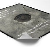 Wij de Willing Poster (Hoek)