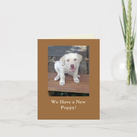 Wij hebben een Nieuwe Personaliseerbare Aankondiging (Voorkant)