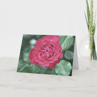 Wij helen samen aangezien wij houden van feestdagen kaart