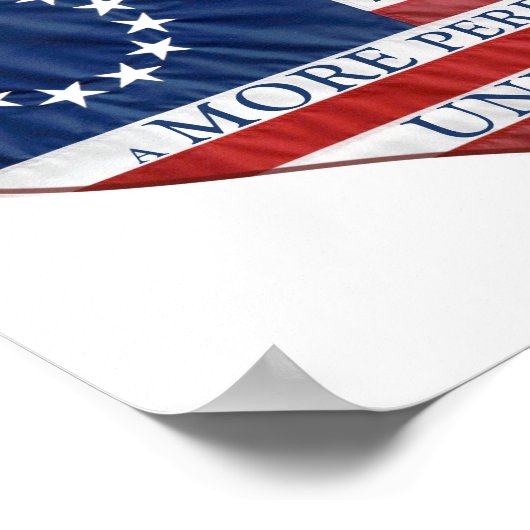 Wij, het mensen-Amerikaanse Poster van het Vlaggen (Hoek)