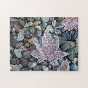 Wij, Wa, Bainbridge Island. Vroege ochtend vorst 2 Legpuzzel