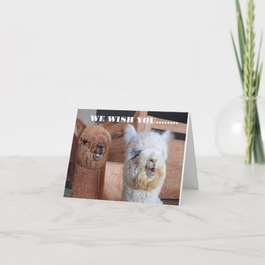 **WIJ** WENSEN **U** DE BESTE VERJAARDAG OOIT! KAART (Voorkant)