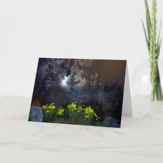 Wij zijn eigenaar van de nacht kaart