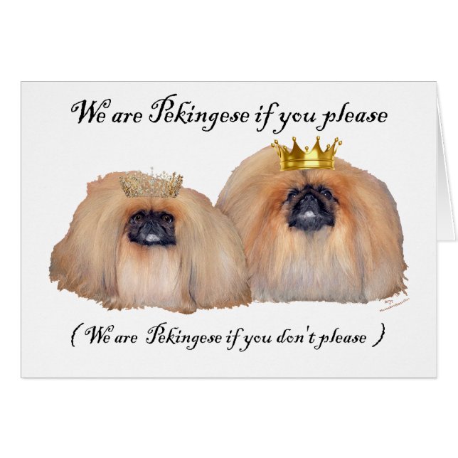 Wij zijn Pekingees (Voorkant Horizontaal)