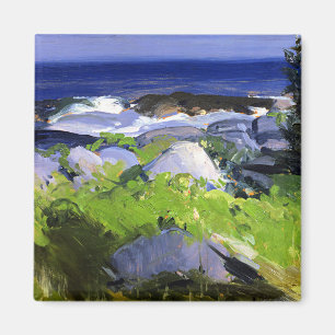 Wijn begroeide kust, Monhegan Island, Maine, fine Magneet