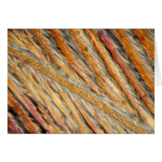 Wijn onder de microscoop - Chardonnay