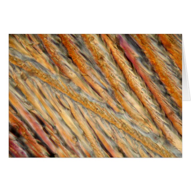 Wijn onder de microscoop - Chardonnay (Voorkant Horizontaal)