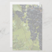 Wijn Wineyard Theme Weddenschap Briefpapier (Voorkant / Achterkant)