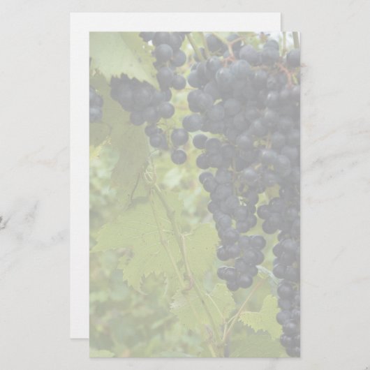 Wijn Wineyard Theme Weddenschap Briefpapier (Voorkant / Achterkant)