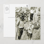 Wijnbereiding Wijnoogst Briefkaart (Voorkant / Achterkant)