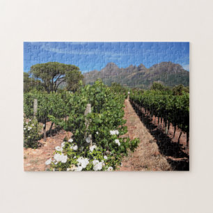Wijnbergen uitzicht. Stellenbosch Legpuzzel
