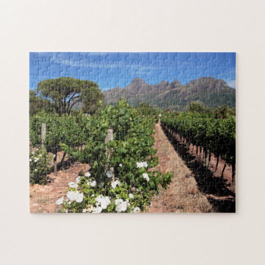 Wijnbergen uitzicht. Stellenbosch Legpuzzel (Horizontaal)