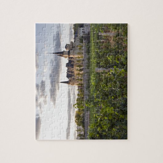 Wijnbouw gezien vanaf de wijngaard op legpuzzel (Verticaal)