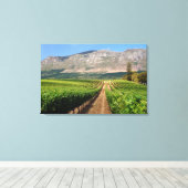 Wijnbouwwijngaarden van Groot Constantia Wine Canvas Afdruk (Insitu (Houten vloer))