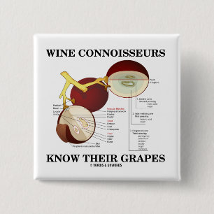 Wijnconnoisseurs kennen hun druiven (Humor) Vierkante Button 5,1 Cm